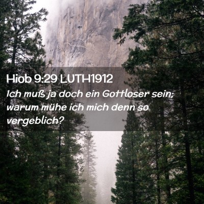 Picture 02 - Hiob 9:29 LUTH1912 - Ich muß ja doch ein Gottloser sein; warum mühe - Bible Verse Picture