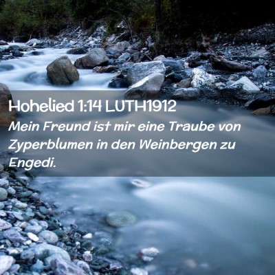 Picture 02 - Hohelied 1:14 LUTH1912 - Mein Freund ist mir eine Traube von Zyperblumen - Bible Verse Picture