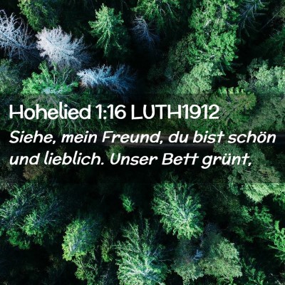 Picture 02 - Hohelied 1:16 LUTH1912 - Siehe, mein Freund, du bist schön und lieblich. - Bible Verse Picture