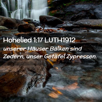 Picture 02 - Hohelied 1:17 LUTH1912 - unserer Häuser Balken sind Zedern, unser - Bible Verse Picture