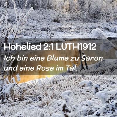 Picture 02 - Hohelied 2:1 LUTH1912 - Ich bin eine Blume zu Saron und eine Rose im - Bible Verse Picture