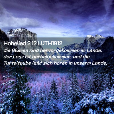 Picture 02 - Hohelied 2:12 LUTH1912 - die Blumen sind hervorgekommen im Lande, der Lenz - Bible Verse Picture
