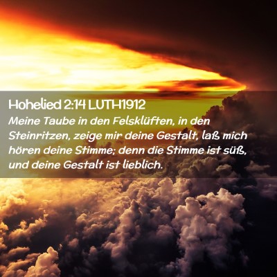 Picture 02 - Hohelied 2:14 LUTH1912 - Meine Taube in den Felsklüften, in den - Bible Verse Picture