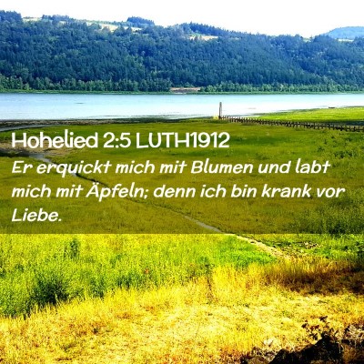 Picture 02 - Hohelied 2:5 LUTH1912 - Er erquickt mich mit Blumen und labt mich mit - Bible Verse Picture