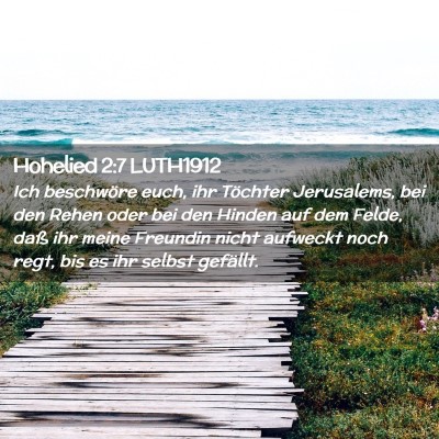 Picture 02 - Hohelied 2:7 LUTH1912 - Ich beschwöre euch, ihr Töchter Jerusalems, bei - Bible Verse Picture