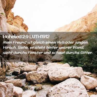 Picture 02 - Hohelied 2:9 LUTH1912 - Mein Freund ist gleich einem Reh oder jungen - Bible Verse Picture
