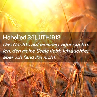 Picture 02 - Hohelied 3:1 LUTH1912 - Des Nachts auf meinem Lager suchte ich, den meine - Bible Verse Picture