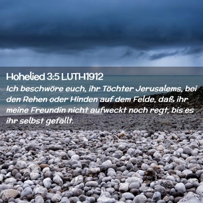 Picture 02 - Hohelied 3:5 LUTH1912 - Ich beschwöre euch, ihr Töchter Jerusalems, bei - Bible Verse Picture