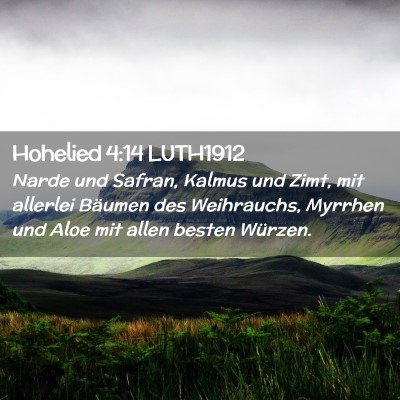 Picture 02 - Hohelied 4:14 LUTH1912 - Narde und Safran, Kalmus und Zimt, mit allerlei - Bible Verse Picture