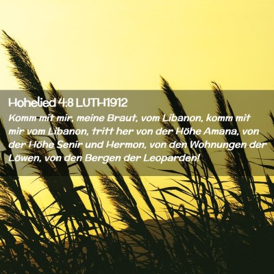 Picture 02 - Hohelied 4:8 LUTH1912 - Komm mit mir, meine Braut, vom Libanon, komm mit - Bible Verse Picture