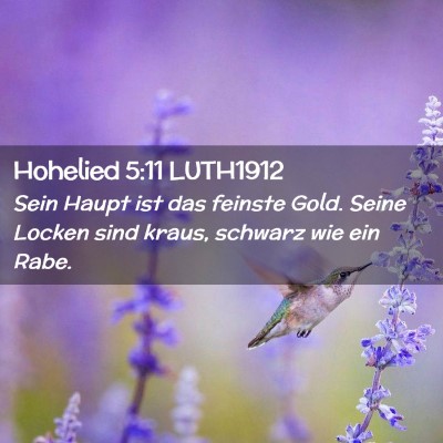 Picture 02 - Hohelied 5:11 LUTH1912 - Sein Haupt ist das feinste Gold. Seine Locken - Bible Verse Picture