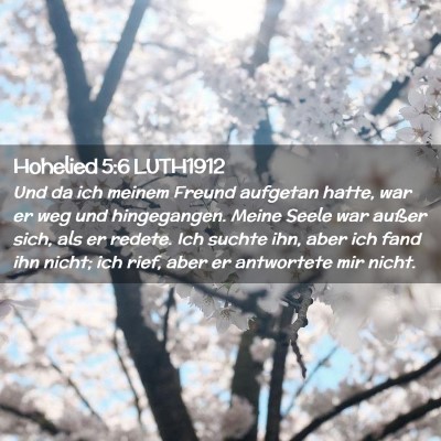 Picture 02 - Hohelied 5:6 LUTH1912 - Und da ich meinem Freund aufgetan hatte, war er - Bible Verse Picture