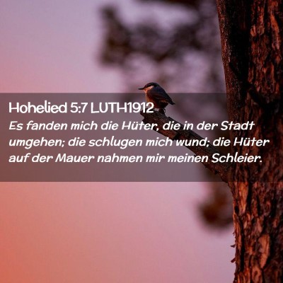 Picture 02 - Hohelied 5:7 LUTH1912 - Es fanden mich die Hüter, die in der Stadt - Bible Verse Picture
