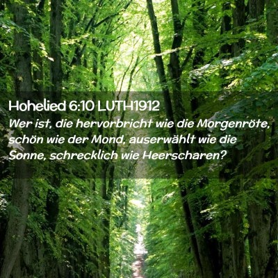 Picture 02 - Hohelied 6:10 LUTH1912 - Wer ist, die hervorbricht wie die Morgenröte, - Bible Verse Picture