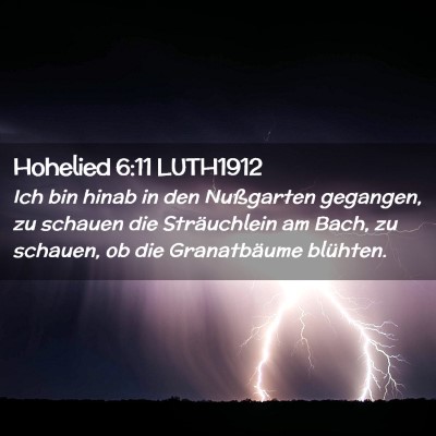 Picture 02 - Hohelied 6:11 LUTH1912 - Ich bin hinab in den Nußgarten gegangen, zu - Bible Verse Picture