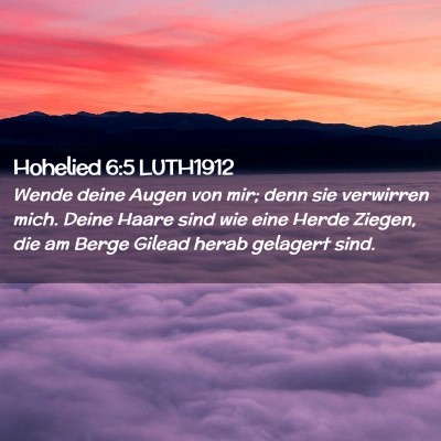 Picture 02 - Hohelied 6:5 LUTH1912 - Wende deine Augen von mir; denn sie verwirren - Bible Verse Picture