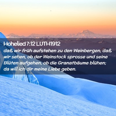 Picture 02 - Hohelied 7:12 LUTH1912 - daß wir früh aufstehen zu den Weinbergen, daß - Bible Verse Picture