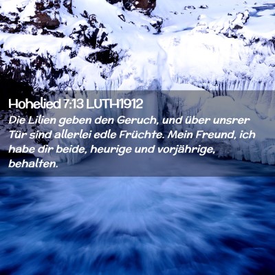 Picture 02 - Hohelied 7:13 LUTH1912 - Die Lilien geben den Geruch, und über unsrer - Bible Verse Picture