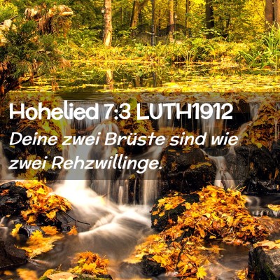 Picture 02 - Hohelied 7:3 LUTH1912 - Deine zwei Brüste sind wie zwei - Bible Verse Picture
