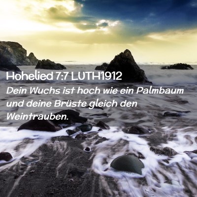 Picture 02 - Hohelied 7:7 LUTH1912 - Dein Wuchs ist hoch wie ein Palmbaum und deine - Bible Verse Picture