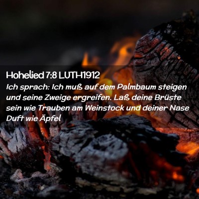 Picture 02 - Hohelied 7:8 LUTH1912 - Ich sprach: Ich muß auf dem Palmbaum steigen und - Bible Verse Picture