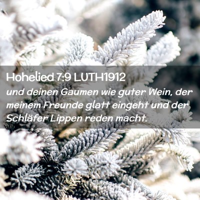 Picture 02 - Hohelied 7:9 LUTH1912 - und deinen Gaumen wie guter Wein, der meinem - Bible Verse Picture