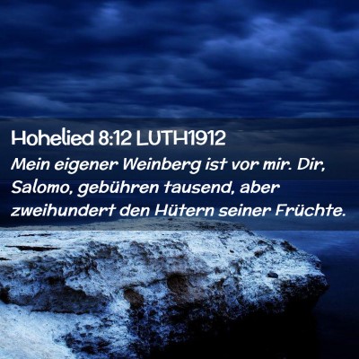 Picture 02 - Hohelied 8:12 LUTH1912 - Mein eigener Weinberg ist vor mir. Dir, Salomo, - Bible Verse Picture
