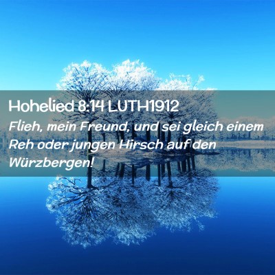 Picture 02 - Hohelied 8:14 LUTH1912 - Flieh, mein Freund, und sei gleich einem Reh oder - Bible Verse Picture