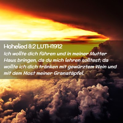Picture 02 - Hohelied 8:2 LUTH1912 - Ich wollte dich führen und in meiner Mutter Haus - Bible Verse Picture