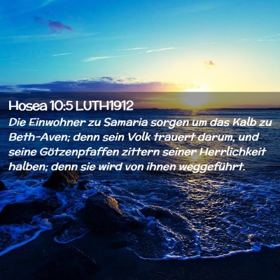 Picture 02 - Hosea 10:5 LUTH1912 - Die Einwohner zu Samaria sorgen um das Kalb zu - Bible Verse Picture