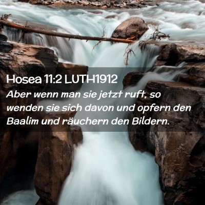 Picture 02 - Hosea 11:2 LUTH1912 - Aber wenn man sie jetzt ruft, so wenden sie sich - Bible Verse Picture