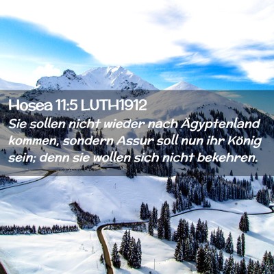 Picture 02 - Hosea 11:5 LUTH1912 - Sie sollen nicht wieder nach Ägyptenland kommen, - Bible Verse Picture