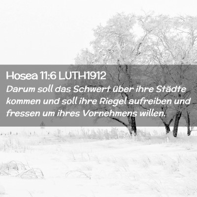Picture 02 - Hosea 11:6 LUTH1912 - Darum soll das Schwert über ihre Städte kommen - Bible Verse Picture