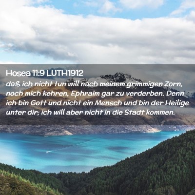 Picture 02 - Hosea 11:9 LUTH1912 - daß ich nicht tun will nach meinem grimmigen - Bible Verse Picture