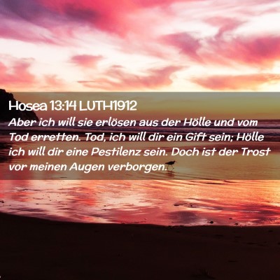 Picture 02 - Hosea 13:14 LUTH1912 - Aber ich will sie erlösen aus der Hölle und vom - Bible Verse Picture