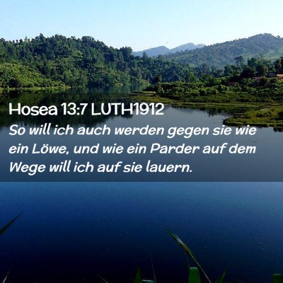 Picture 02 - Hosea 13:7 LUTH1912 - So will ich auch werden gegen sie wie ein Löwe, - Bible Verse Picture
