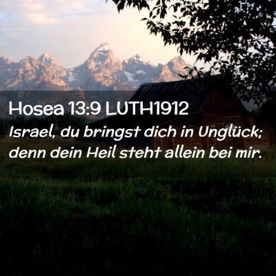 Picture 02 - Hosea 13:9 LUTH1912 - Israel, du bringst dich in Unglück; denn dein - Bible Verse Picture