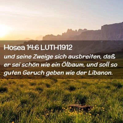 Picture 02 - Hosea 14:6 LUTH1912 - und seine Zweige sich ausbreiten, daß er sei - Bible Verse Picture