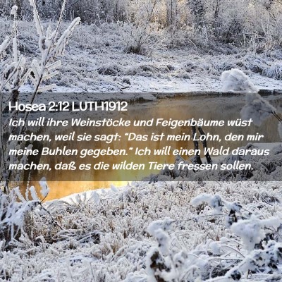 Picture 02 - Hosea 2:12 LUTH1912 - Ich will ihre Weinstöcke und Feigenbäume wüst - Bible Verse Picture