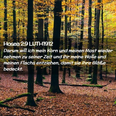 Picture 02 - Hosea 2:9 LUTH1912 - Darum will ich mein Korn und meinen Most wieder - Bible Verse Picture