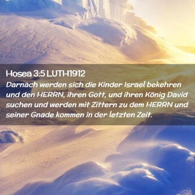 Picture 02 - Hosea 3:5 LUTH1912 - Darnach werden sich die Kinder Israel bekehren - Bible Verse Picture
