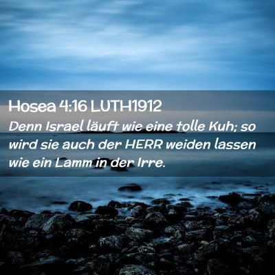 Picture 02 - Hosea 4:16 LUTH1912 - Denn Israel läuft wie eine tolle Kuh; so wird - Bible Verse Picture
