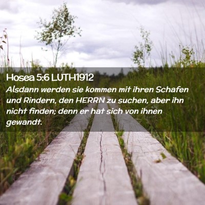 Picture 02 - Hosea 5:6 LUTH1912 - Alsdann werden sie kommen mit ihren Schafen und - Bible Verse Picture