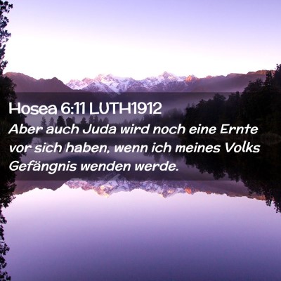 Picture 02 - Hosea 6:11 LUTH1912 - Aber auch Juda wird noch eine Ernte vor sich - Bible Verse Picture