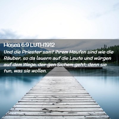 Picture 02 - Hosea 6:9 LUTH1912 - Und die Priester samt ihrem Haufen sind wie die - Bible Verse Picture