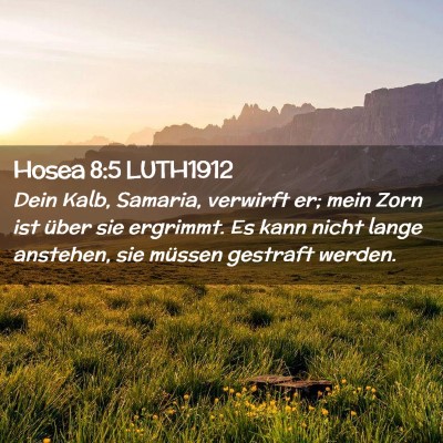 Picture 02 - Hosea 8:5 LUTH1912 - Dein Kalb, Samaria, verwirft er; mein Zorn ist - Bible Verse Picture