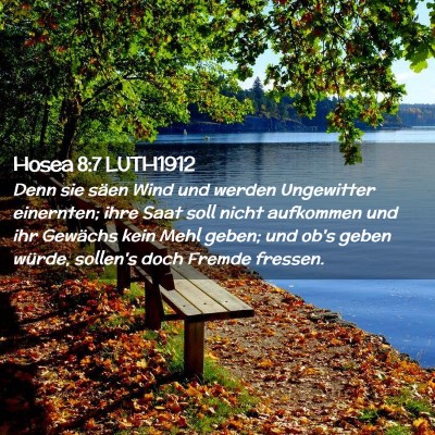 Picture 02 - Hosea 8:7 LUTH1912 - Denn sie säen Wind und werden Ungewitter - Bible Verse Picture