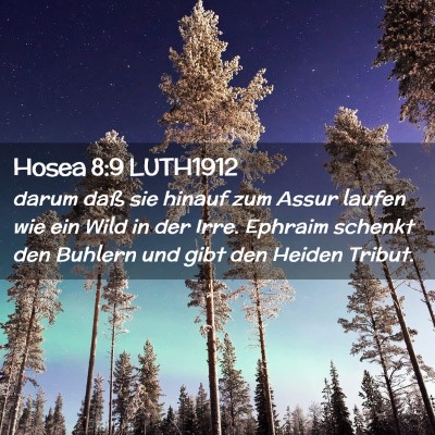 Picture 02 - Hosea 8:9 LUTH1912 - darum daß sie hinauf zum Assur laufen wie ein - Bible Verse Picture