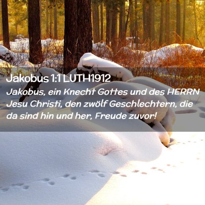 Picture 02 - Jakobus 1:1 LUTH1912 - Jakobus, ein Knecht Gottes und des HERRN Jesu - Bible Verse Picture