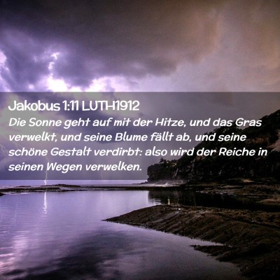Picture 02 - Jakobus 1:11 LUTH1912 - Die Sonne geht auf mit der Hitze, und das Gras - Bible Verse Picture